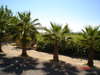 Altes Hotel 